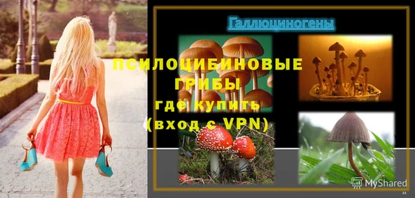 PSILOCYBIN Бугульма